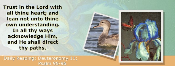 https://bibletruthpublishers.com/ComfortOfScriptures/wp-content/uploads/cos-hdg-2024-159.jpg