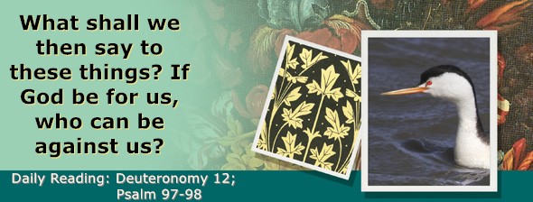 https://bibletruthpublishers.com/ComfortOfScriptures/wp-content/uploads/cos-hdg-2024-160.jpg