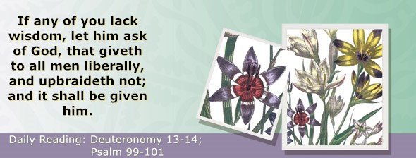 https://bibletruthpublishers.com/ComfortOfScriptures/wp-content/uploads/cos-hdg-2024-161.jpg