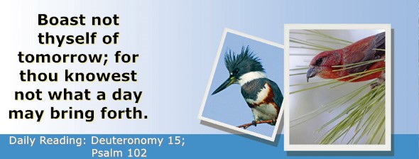 https://bibletruthpublishers.com/ComfortOfScriptures/wp-content/uploads/cos-hdg-2024-162.jpg