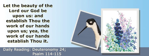 https://bibletruthpublishers.com/ComfortOfScriptures/wp-content/uploads/cos-hdg-2024-171.jpg