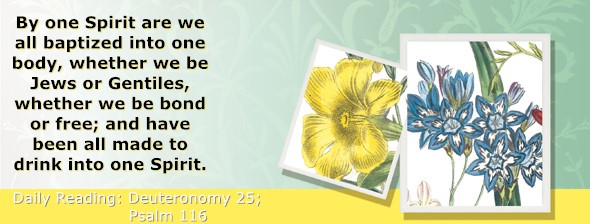 https://bibletruthpublishers.com/ComfortOfScriptures/wp-content/uploads/cos-hdg-2024-172.jpg
