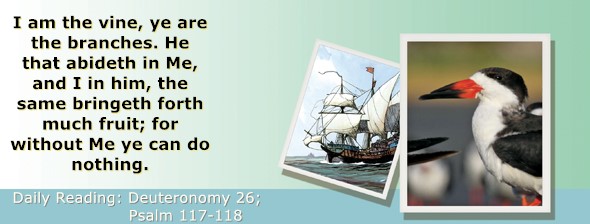 https://bibletruthpublishers.com/ComfortOfScriptures/wp-content/uploads/cos-hdg-2024-173.jpg