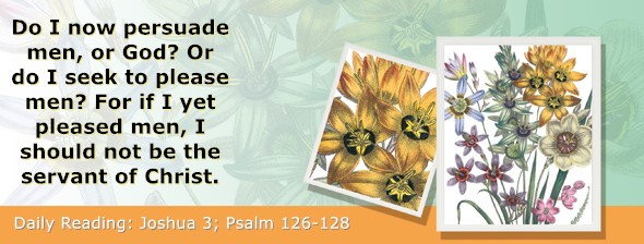 https://bibletruthpublishers.com/ComfortOfScriptures/wp-content/uploads/cos-hdg-2024-183.jpg