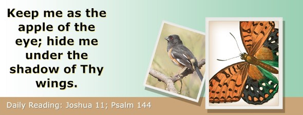 https://bibletruthpublishers.com/ComfortOfScriptures/wp-content/uploads/cos-hdg-2024-191.jpg