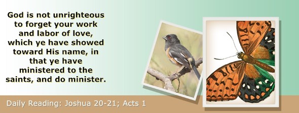 https://bibletruthpublishers.com/ComfortOfScriptures/wp-content/uploads/cos-hdg-2024-196.jpg