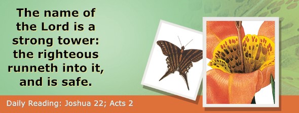 https://bibletruthpublishers.com/ComfortOfScriptures/wp-content/uploads/cos-hdg-2024-197.jpg