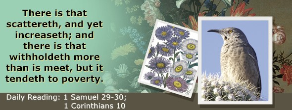 https://bibletruthpublishers.com/ComfortOfScriptures/wp-content/uploads/cos-hdg-2024-249.jpg