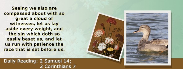 https://bibletruthpublishers.com/ComfortOfScriptures/wp-content/uploads/cos-hdg-2024-262.jpg