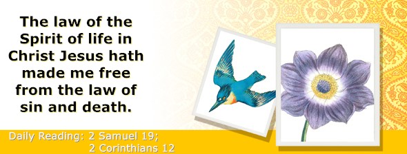 https://bibletruthpublishers.com/ComfortOfScriptures/wp-content/uploads/cos-hdg-2024-267.jpg