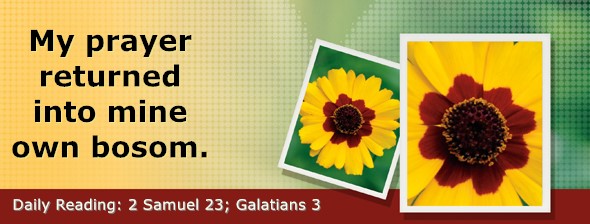 https://bibletruthpublishers.com/ComfortOfScriptures/wp-content/uploads/cos-hdg-2024-271.jpg