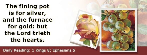 https://bibletruthpublishers.com/ComfortOfScriptures/wp-content/uploads/cos-hdg-2024-279.jpg