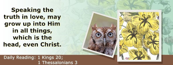 https://bibletruthpublishers.com/ComfortOfScriptures/wp-content/uploads/cos-hdg-2024-291.jpg