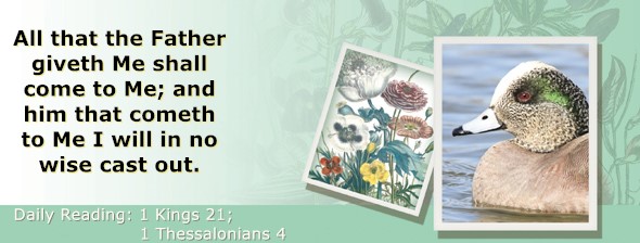 https://bibletruthpublishers.com/ComfortOfScriptures/wp-content/uploads/cos-hdg-2024-292.jpg
