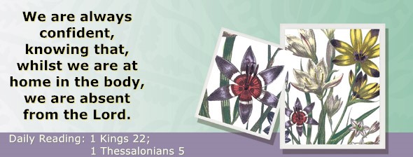 https://bibletruthpublishers.com/ComfortOfScriptures/wp-content/uploads/cos-hdg-2024-293.jpg