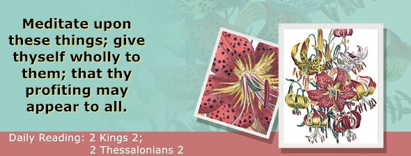 https://bibletruthpublishers.com/ComfortOfScriptures/wp-content/uploads/cos-hdg-2024-295.jpg