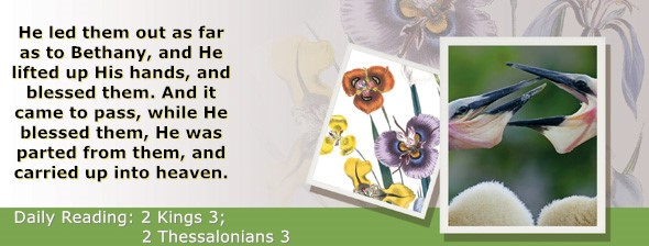 https://bibletruthpublishers.com/ComfortOfScriptures/wp-content/uploads/cos-hdg-2024-296.jpg