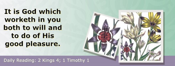 https://bibletruthpublishers.com/ComfortOfScriptures/wp-content/uploads/cos-hdg-2024-297.jpg