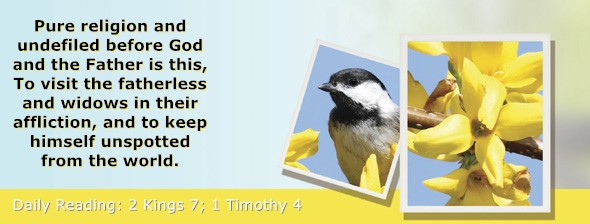 https://bibletruthpublishers.com/ComfortOfScriptures/wp-content/uploads/cos-hdg-2024-300.jpg