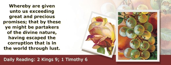 https://bibletruthpublishers.com/ComfortOfScriptures/wp-content/uploads/cos-hdg-2024-302.jpg