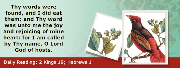 https://bibletruthpublishers.com/ComfortOfScriptures/wp-content/uploads/cos-hdg-2024-311.jpg