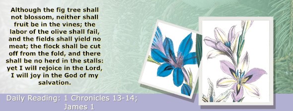 https://bibletruthpublishers.com/ComfortOfScriptures/wp-content/uploads/cos-hdg-2024-324.jpg