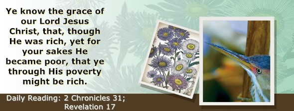 https://bibletruthpublishers.com/ComfortOfScriptures/wp-content/uploads/cos-hdg-2024-361.jpg