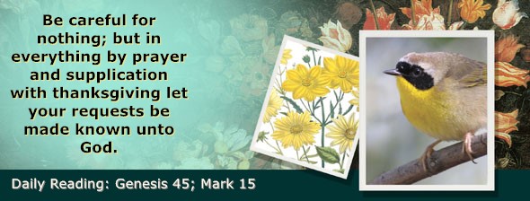 https://bibletruthpublishers.com/ComfortOfScriptures/wp-content/uploads/cos-hdg-2025-043.jpg