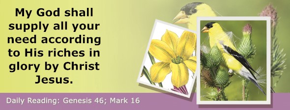 https://bibletruthpublishers.com/ComfortOfScriptures/wp-content/uploads/cos-hdg-2025-044.jpg