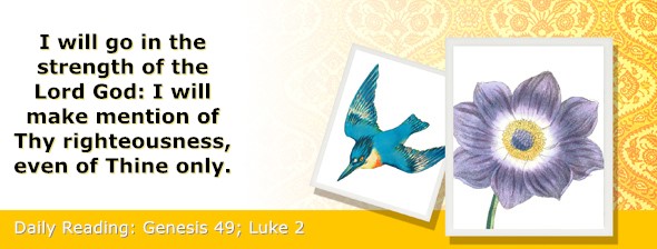 https://bibletruthpublishers.com/ComfortOfScriptures/wp-content/uploads/cos-hdg-2025-047.jpg