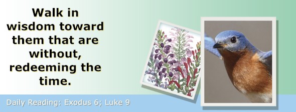 https://bibletruthpublishers.com/ComfortOfScriptures/wp-content/uploads/cos-hdg-2025-054.jpg