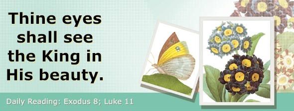 https://bibletruthpublishers.com/ComfortOfScriptures/wp-content/uploads/cos-hdg-2025-056.jpg