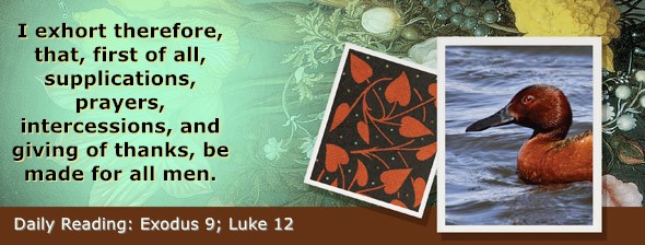 https://bibletruthpublishers.com/ComfortOfScriptures/wp-content/uploads/cos-hdg-2025-057.jpg