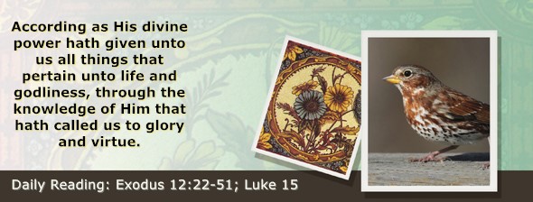 https://bibletruthpublishers.com/ComfortOfScriptures/wp-content/uploads/cos-hdg-2025-060.jpg