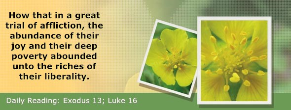 https://bibletruthpublishers.com/ComfortOfScriptures/wp-content/uploads/cos-hdg-2025-061.jpg