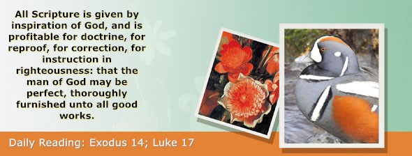 https://bibletruthpublishers.com/ComfortOfScriptures/wp-content/uploads/cos-hdg-2025-062.jpg