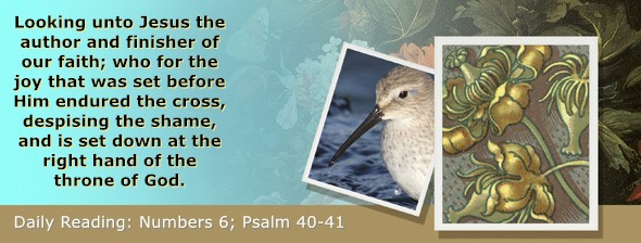 https://bibletruthpublishers.com/ComfortOfScriptures/wp-content/uploads/cos-hdg-2025-119.jpg
