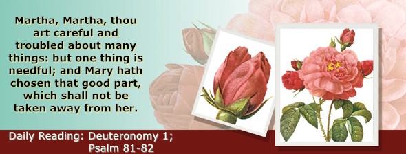 https://bibletruthpublishers.com/ComfortOfScriptures/wp-content/uploads/cos-hdg-2025-148.jpg