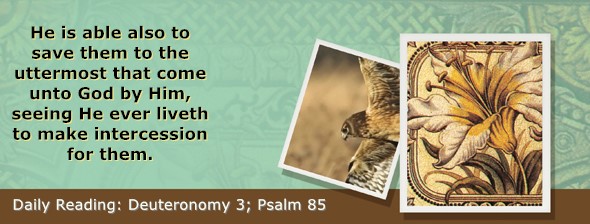 https://bibletruthpublishers.com/ComfortOfScriptures/wp-content/uploads/cos-hdg-2025-150.jpg