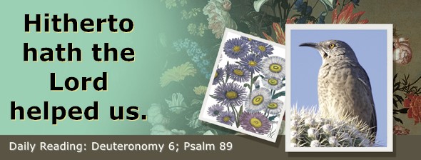 https://bibletruthpublishers.com/ComfortOfScriptures/wp-content/uploads/cos-hdg-2025-153.jpg