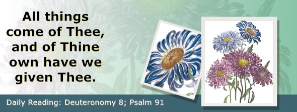 https://bibletruthpublishers.com/ComfortOfScriptures/wp-content/uploads/cos-hdg-2025-155.jpg
