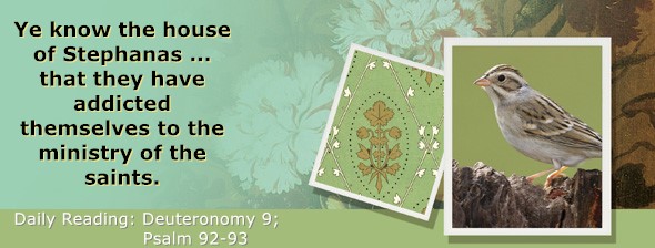 https://bibletruthpublishers.com/ComfortOfScriptures/wp-content/uploads/cos-hdg-2025-156.jpg