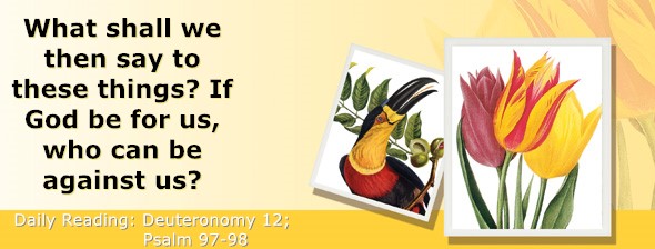 https://bibletruthpublishers.com/ComfortOfScriptures/wp-content/uploads/cos-hdg-2025-159.jpg