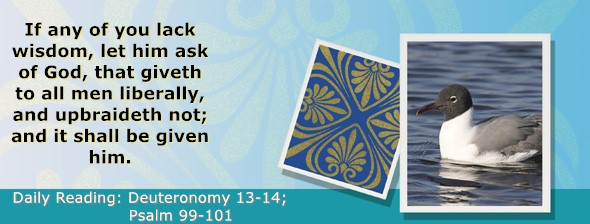 https://bibletruthpublishers.com/ComfortOfScriptures/wp-content/uploads/cos-hdg-2025-160.jpg