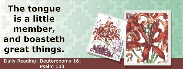 https://bibletruthpublishers.com/ComfortOfScriptures/wp-content/uploads/cos-hdg-2025-162.jpg