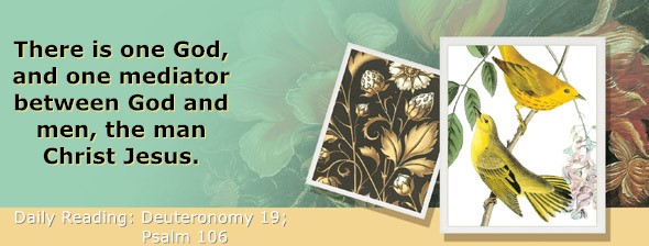 https://bibletruthpublishers.com/ComfortOfScriptures/wp-content/uploads/cos-hdg-2025-165.jpg