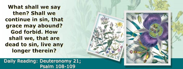 https://bibletruthpublishers.com/ComfortOfScriptures/wp-content/uploads/cos-hdg-2025-167.jpg