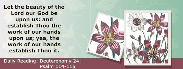https://bibletruthpublishers.com/ComfortOfScriptures/wp-content/uploads/cos-hdg-2025-170.jpg