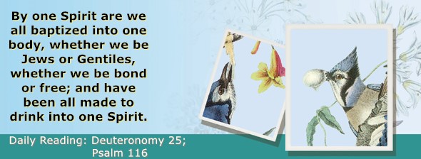 https://bibletruthpublishers.com/ComfortOfScriptures/wp-content/uploads/cos-hdg-2025-171.jpg