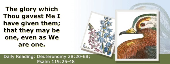 https://bibletruthpublishers.com/ComfortOfScriptures/wp-content/uploads/cos-hdg-2025-174.jpg
